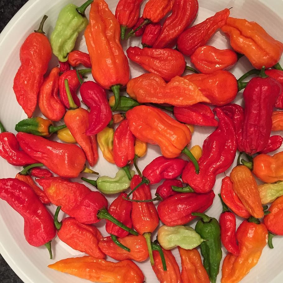 Ghost Peppers