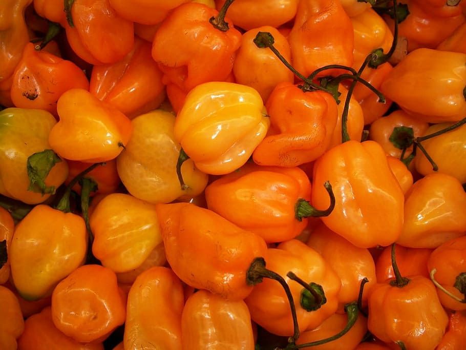 Habanero Peppers