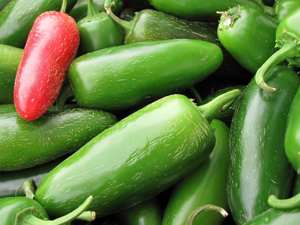 Jalapeno Peppers