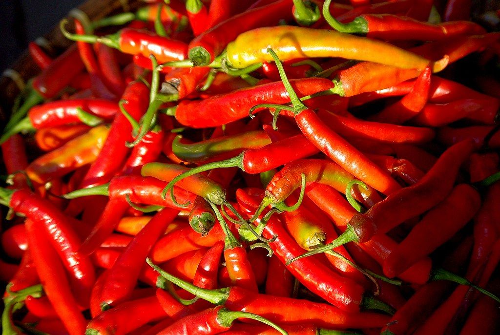 Thai Bird's Eye Peppers