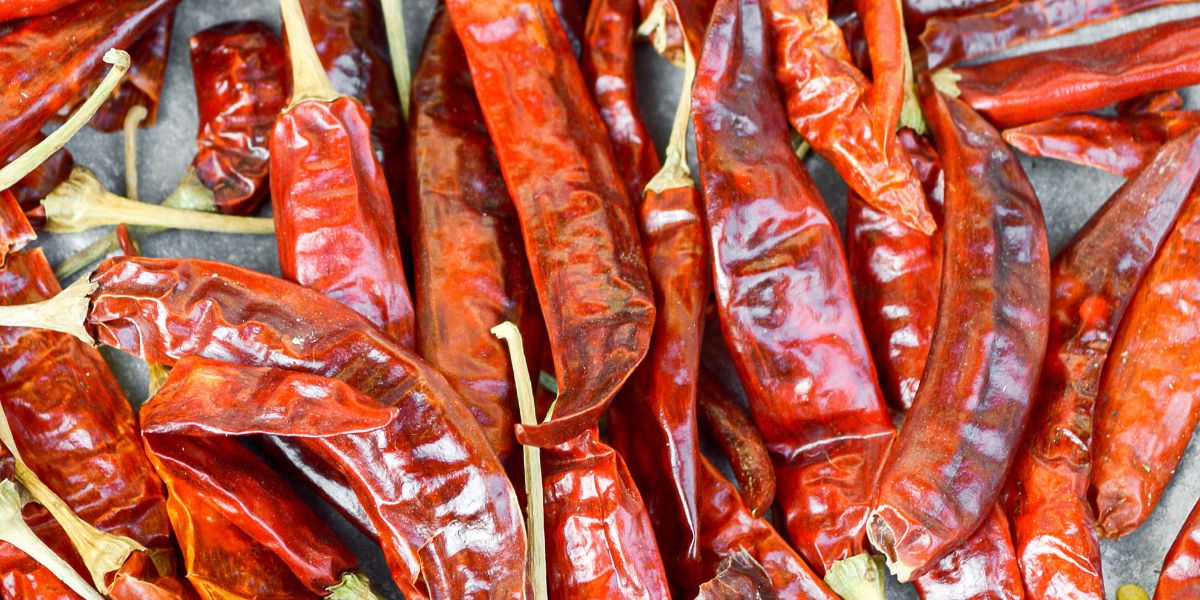 Dried chili peppers