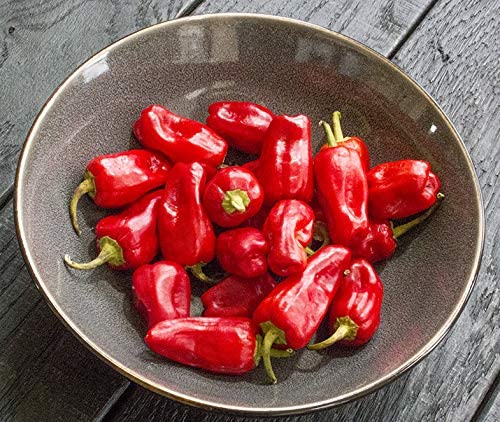 Aleppo Peppers