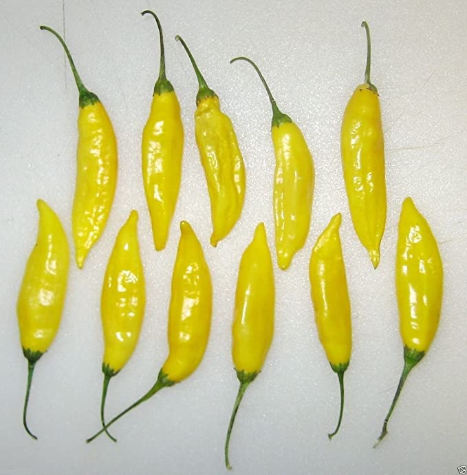 Lemon Drop Peppers