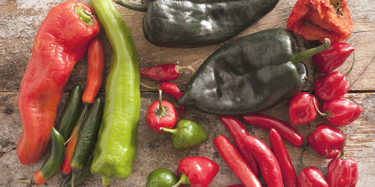 Chili pepper varieties