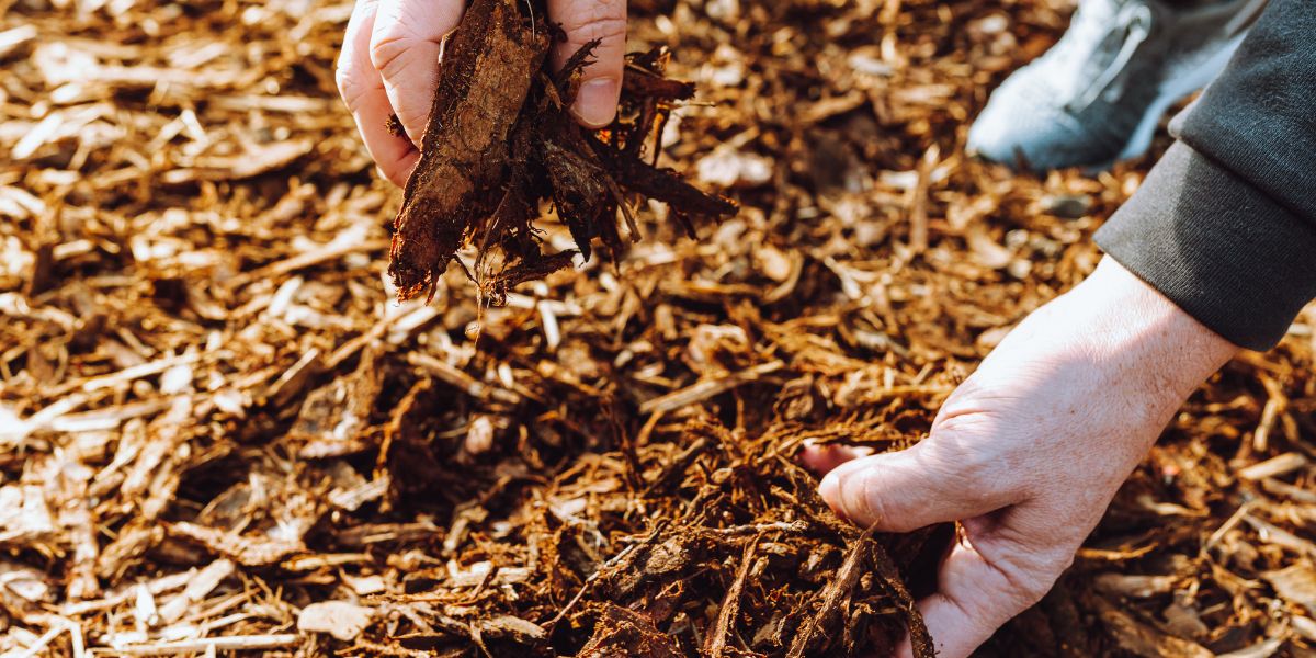 Applying mulch