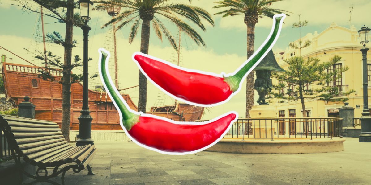History of chili peppers