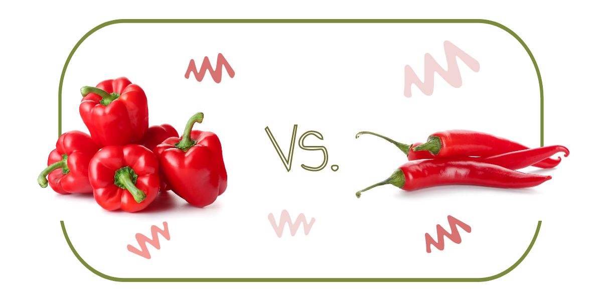 Bell peppers versus chili peppers